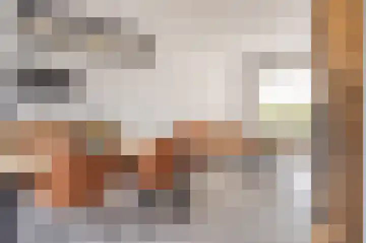 Statenstraat 31 Sas van Gent thumbnail 5
