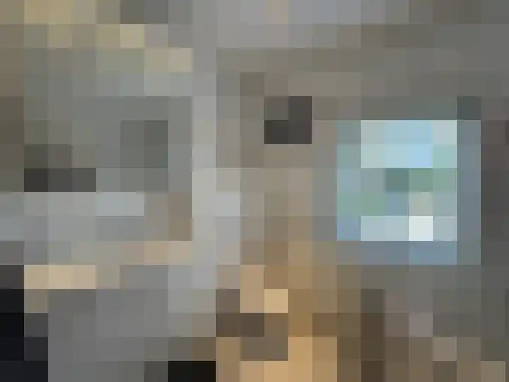 Statenstraat 36 Sas van Gent thumbnail 13