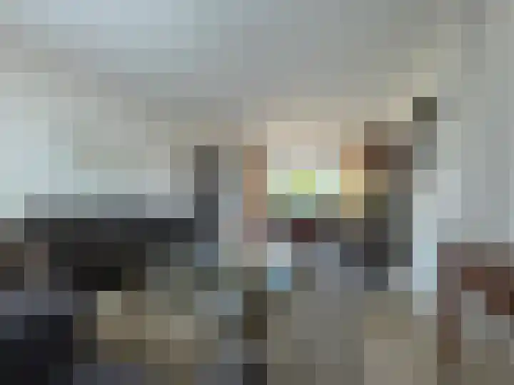 Statenstraat 36 Sas van Gent thumbnail 7