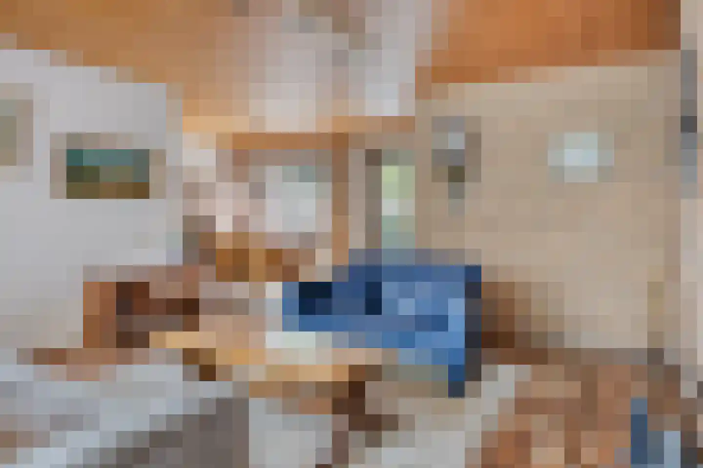 Statenstraat 51 Sas van Gent thumbnail 10
