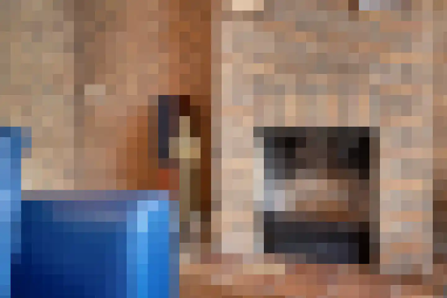 Statenstraat 51 Sas van Gent thumbnail 11