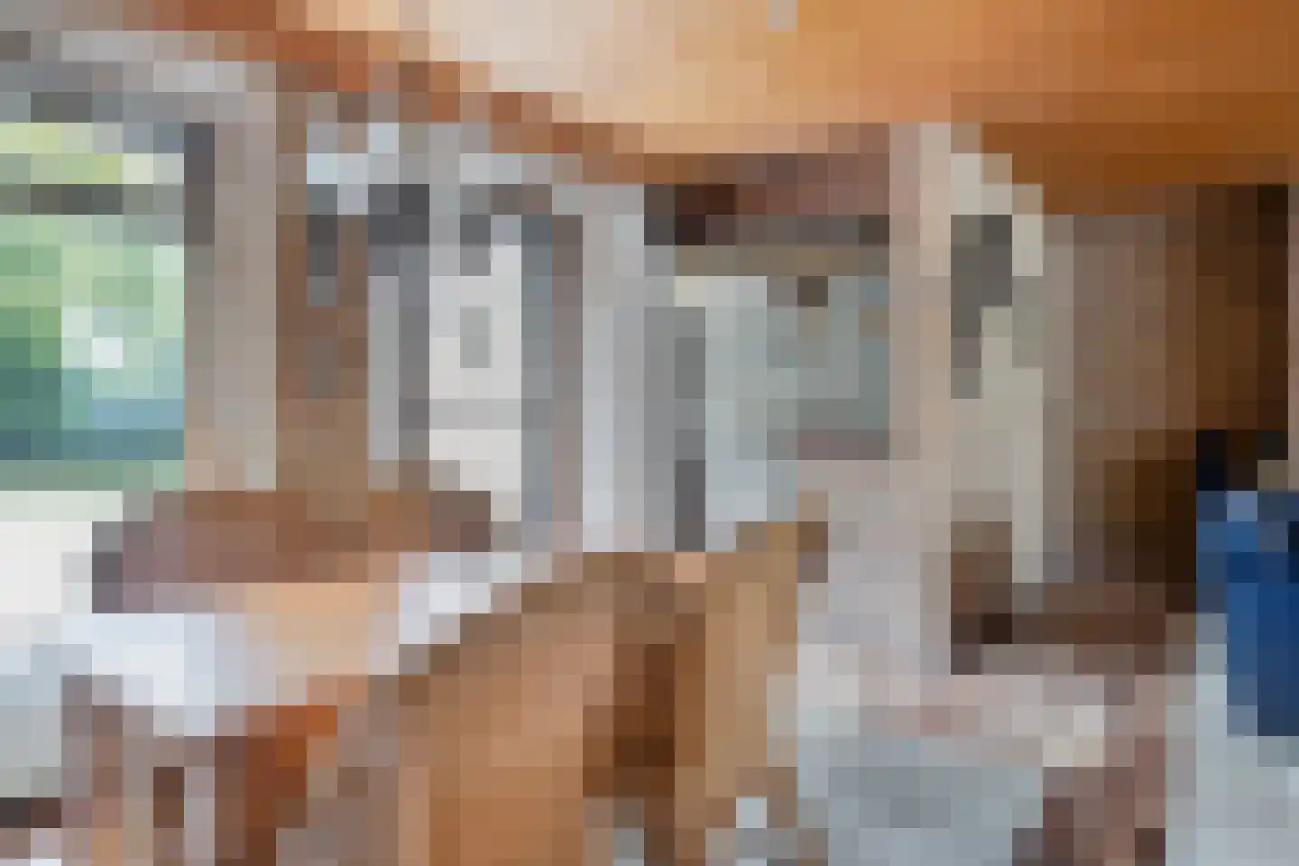 Statenstraat 51 Sas van Gent thumbnail 13