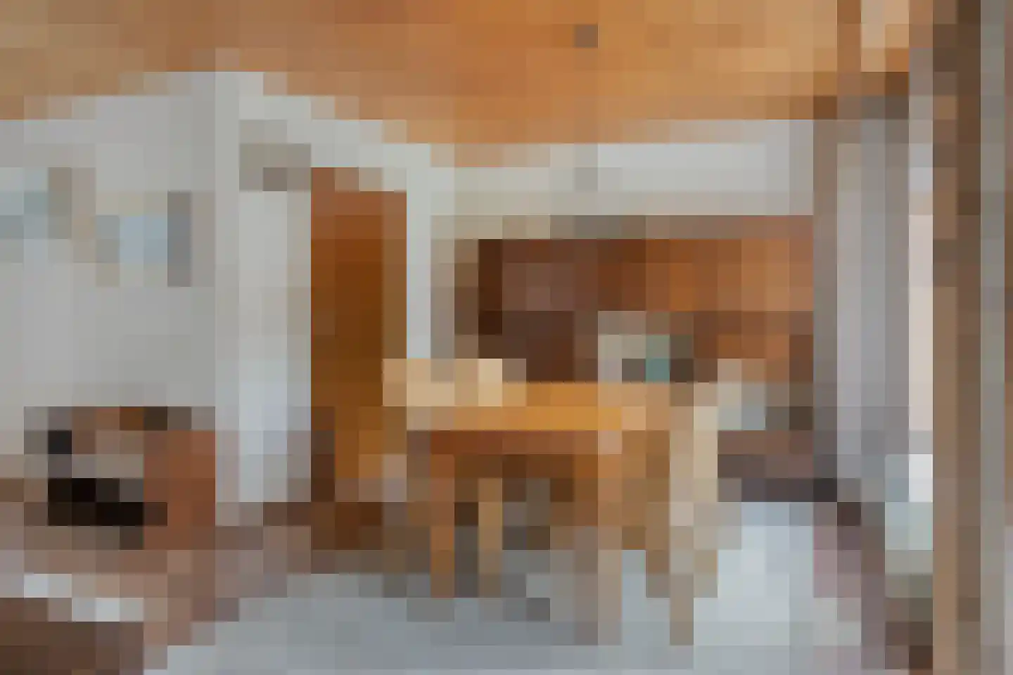 Statenstraat 51 Sas van Gent thumbnail 14