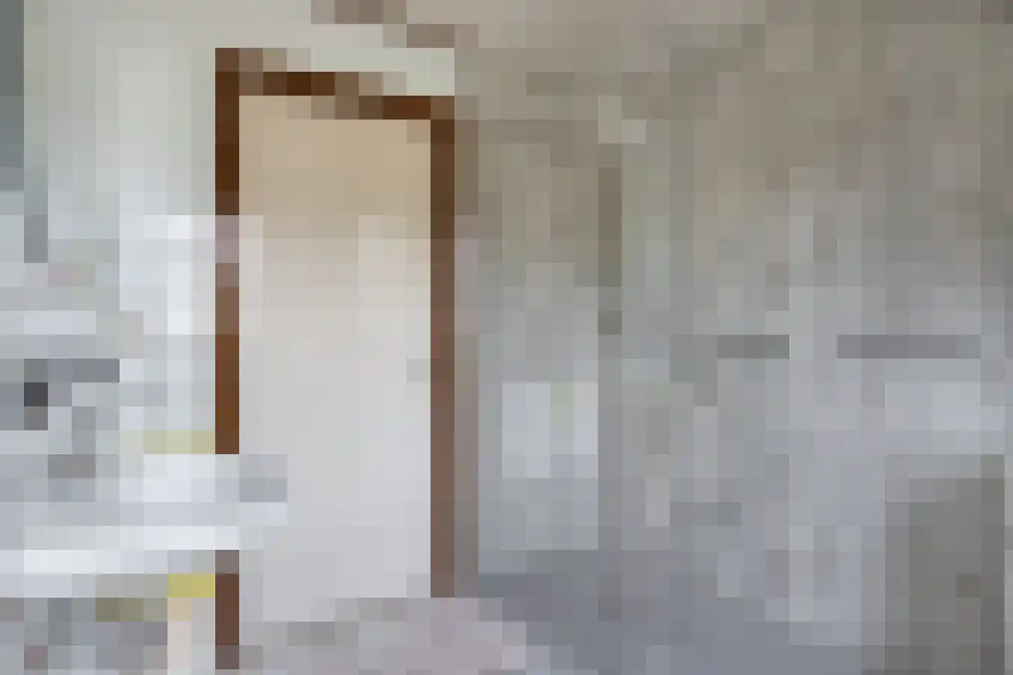 Statenstraat 51 Sas van Gent thumbnail 23