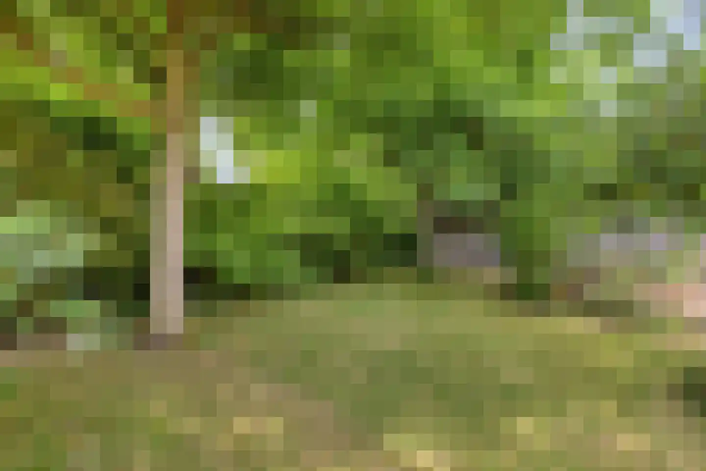 Statenstraat 51 Sas van Gent thumbnail 31
