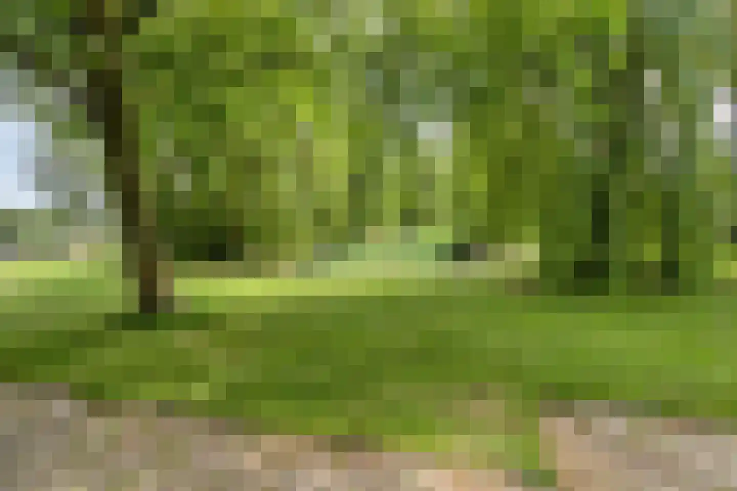 Statenstraat 51 Sas van Gent thumbnail 33