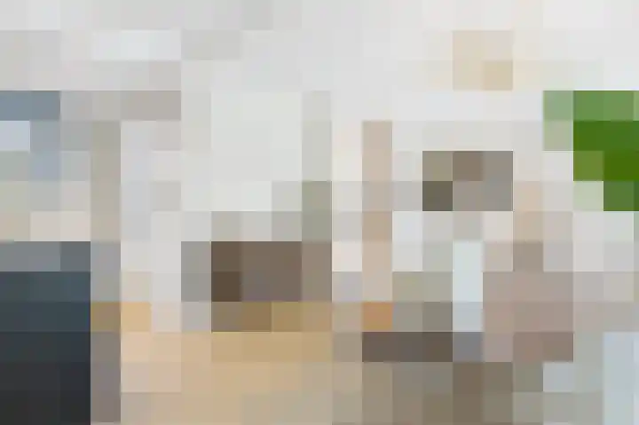 Statenstraat 57 Sas van Gent thumbnail 12