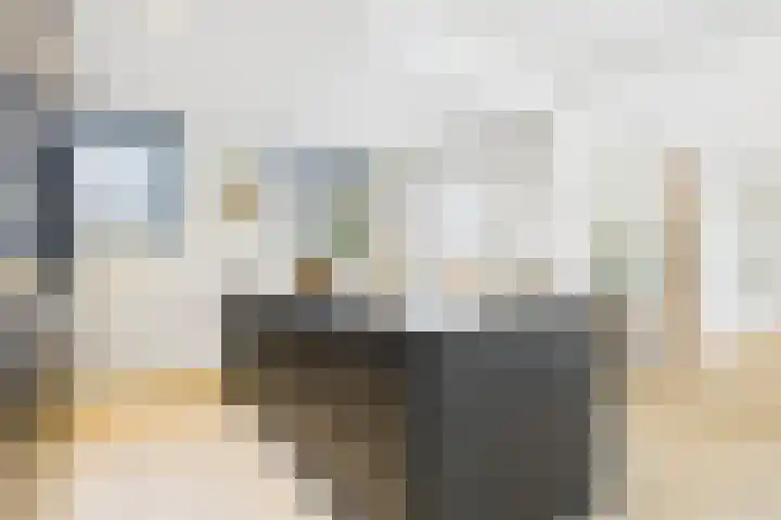 Statenstraat 57 Sas van Gent thumbnail 13