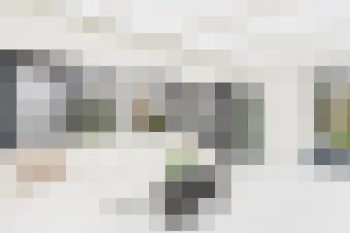 Statenstraat 57 Sas van Gent thumbnail 20