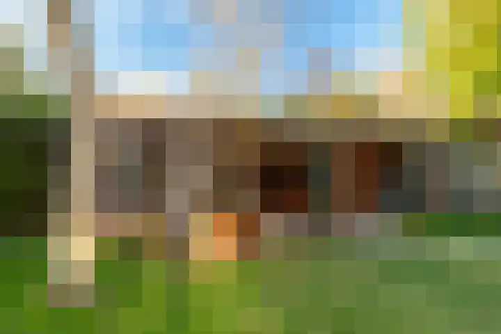 Statenstraat 57 Sas van Gent thumbnail 38