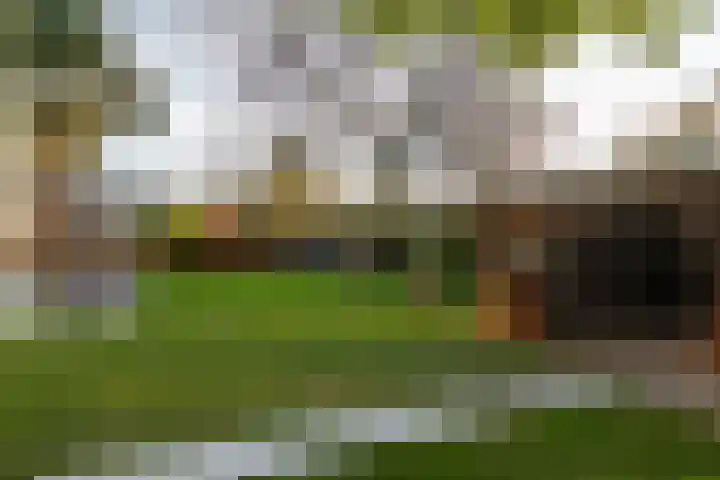 Statenstraat 57 Sas van Gent thumbnail 39
