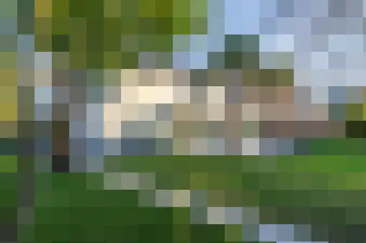Statenstraat 57 Sas van Gent thumbnail 6