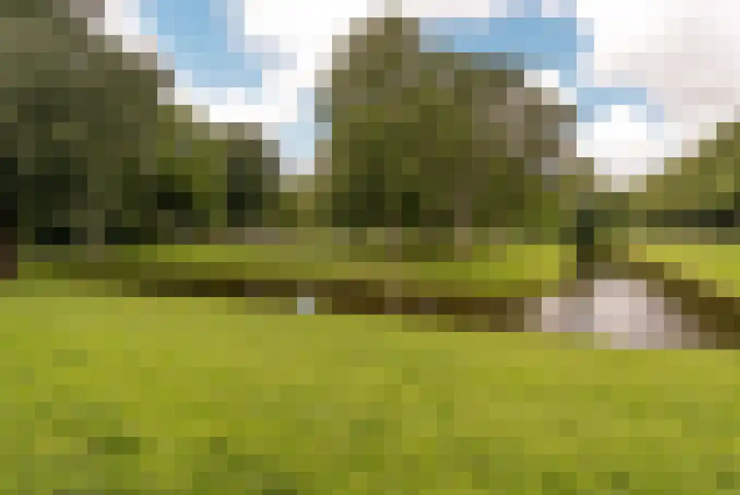 Statenweg 107 B Rotterdam thumbnail 29