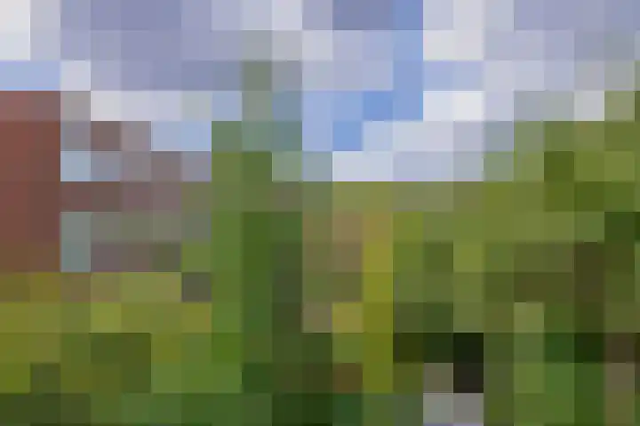 Statenweg 11 C Rotterdam thumbnail 19