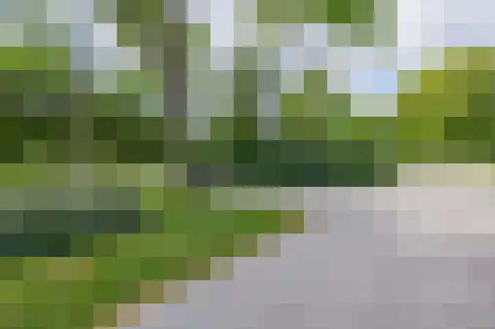 Statenweg 11 C Rotterdam thumbnail 32