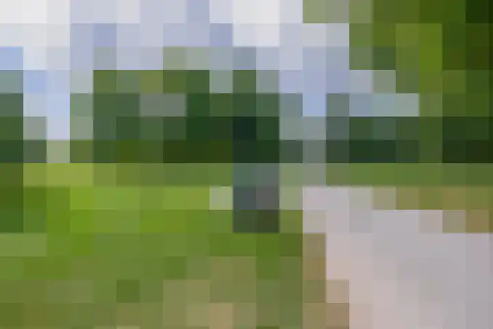 Statenweg 11 C Rotterdam thumbnail 34