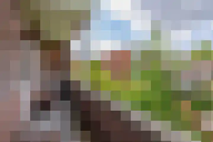 Statenweg 11 C Rotterdam thumbnail 4