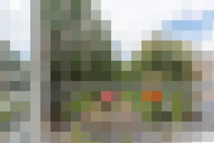 Statenweg 111 C Rotterdam thumbnail 27