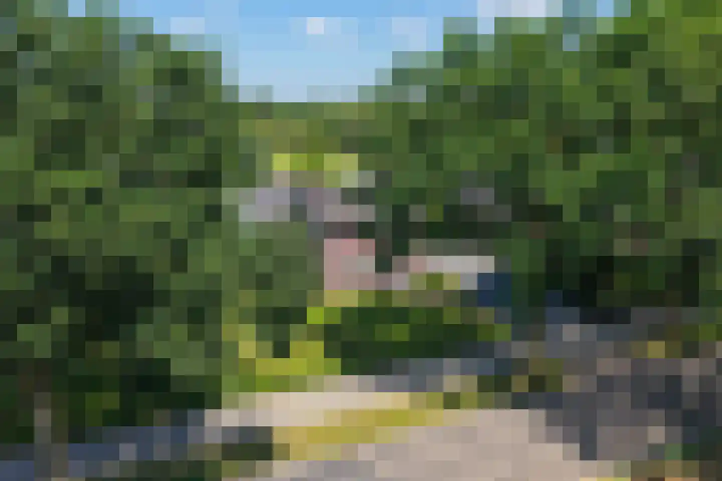 Statenweg 113 Venhorst thumbnail 11