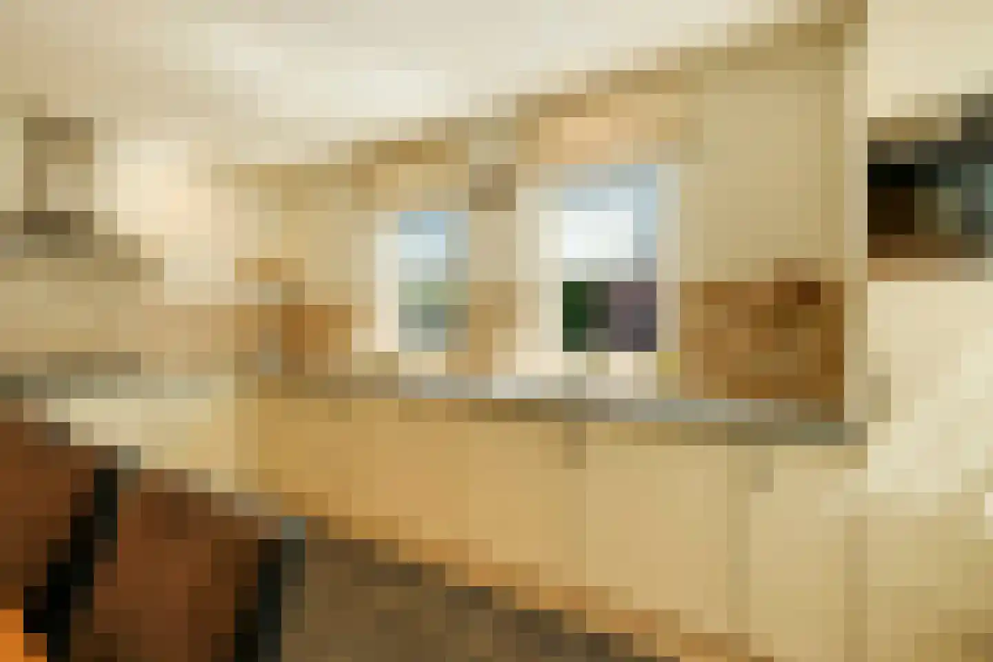 Statenweg 113 Venhorst thumbnail 24