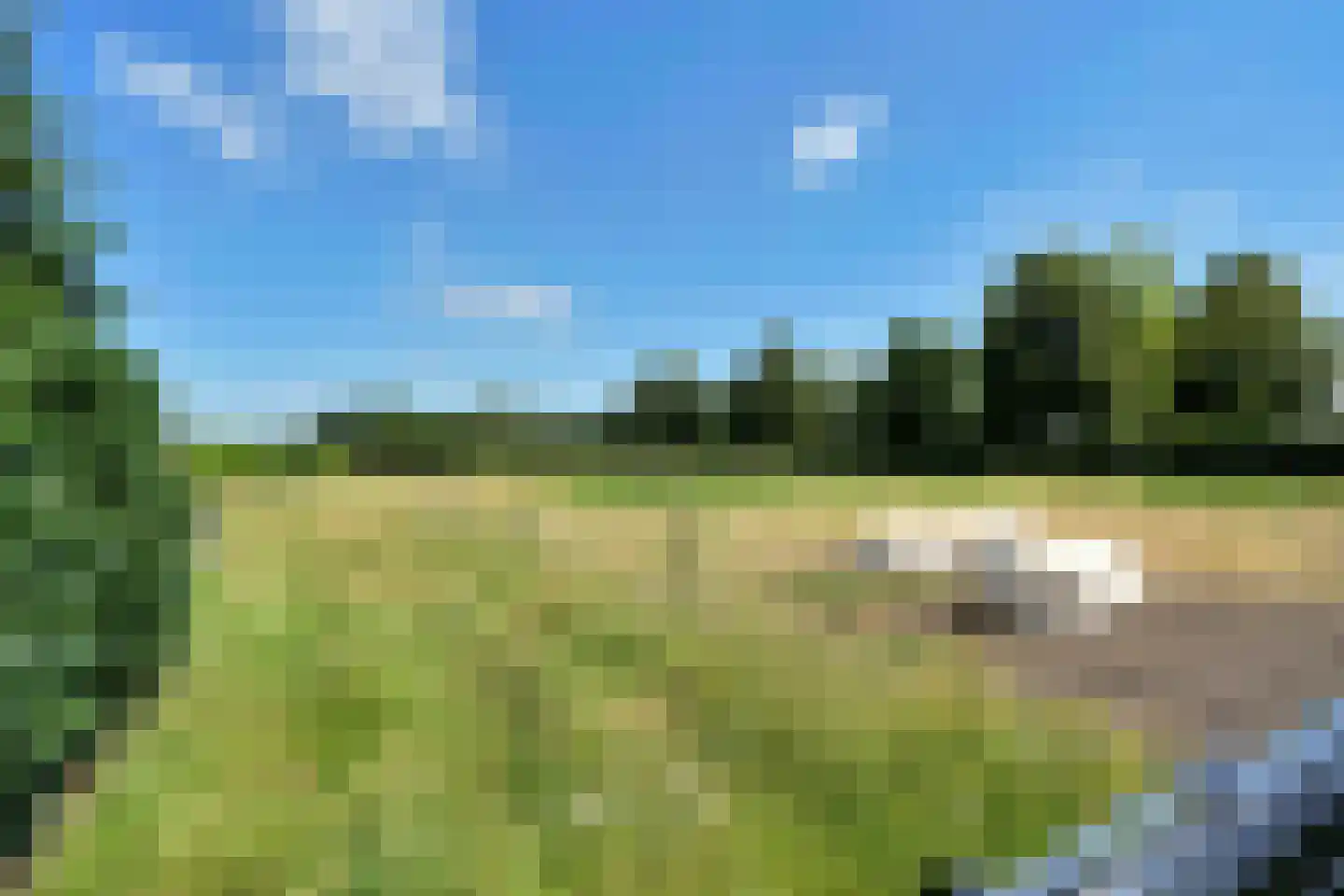 Statenweg 113 Venhorst thumbnail 67