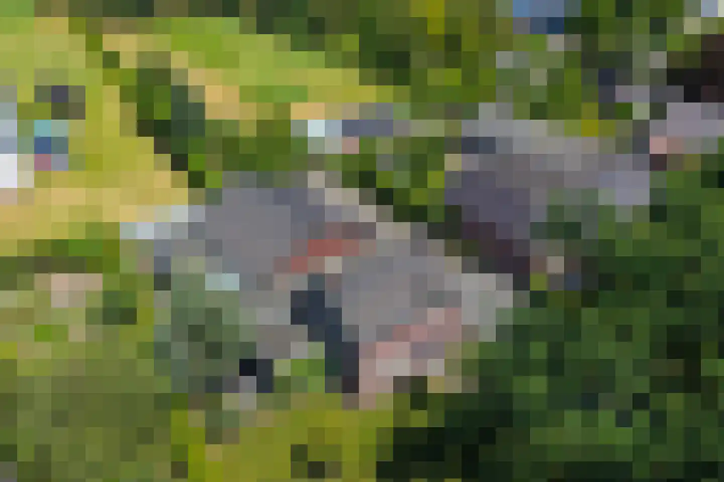 Statenweg 113 Venhorst thumbnail 7