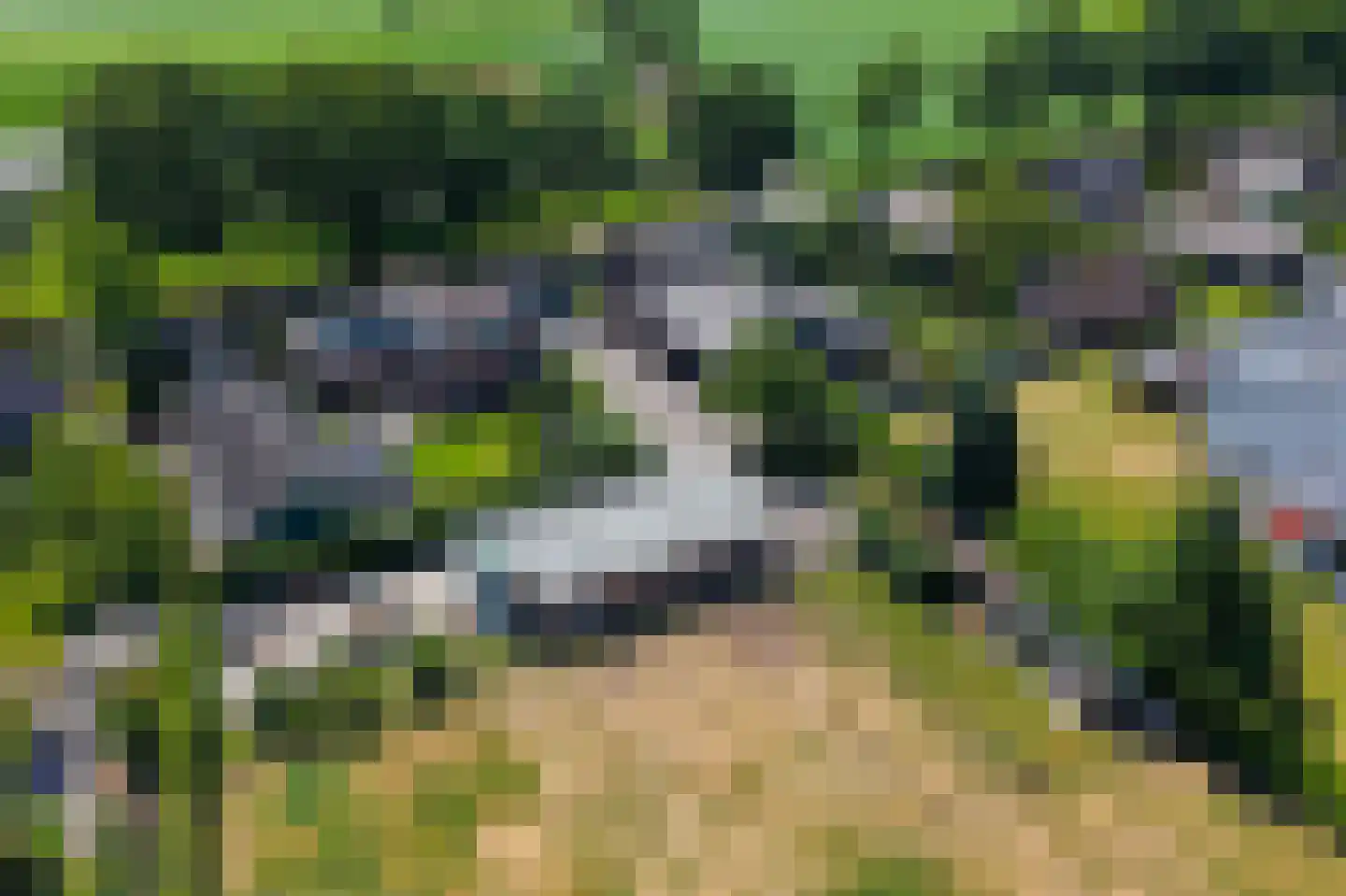 Statenweg 113 Venhorst thumbnail 76