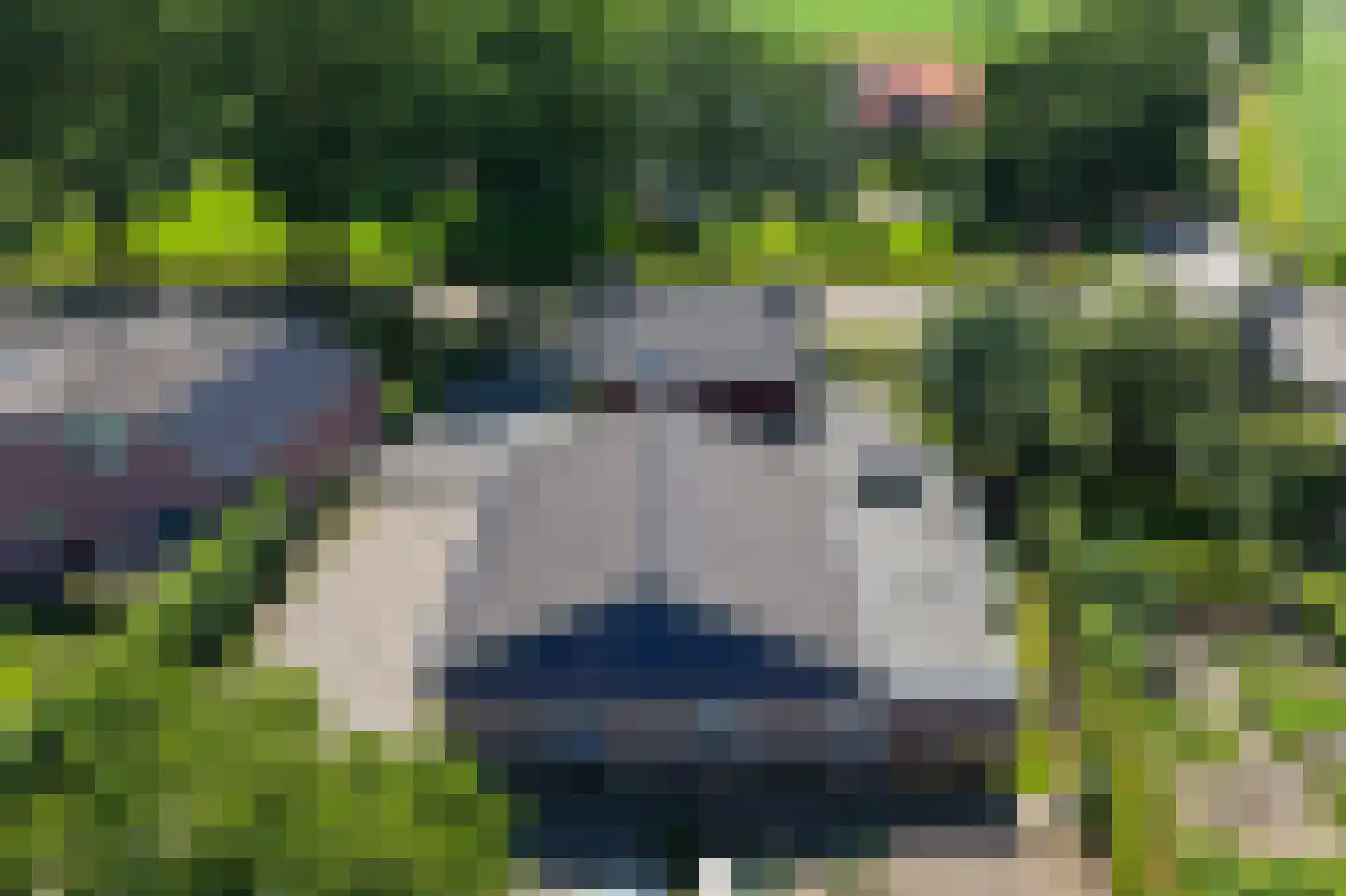 Statenweg 113 Venhorst thumbnail 79