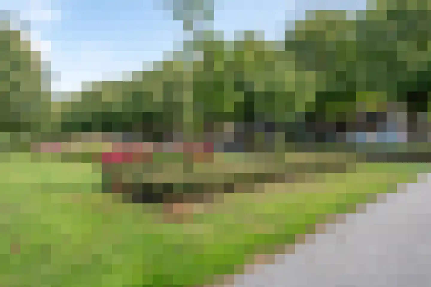Statenweg 115 A Rotterdam thumbnail 39