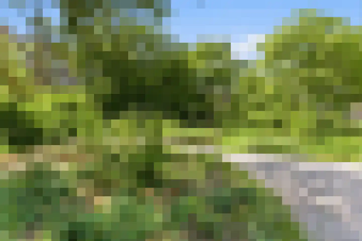 Statenweg 118 A Rotterdam thumbnail 32
