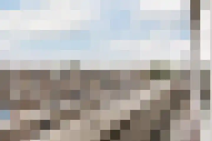 Statenweg 122 D Rotterdam thumbnail 38