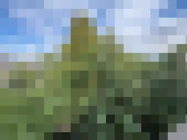 Statenweg 122 D Rotterdam thumbnail 53