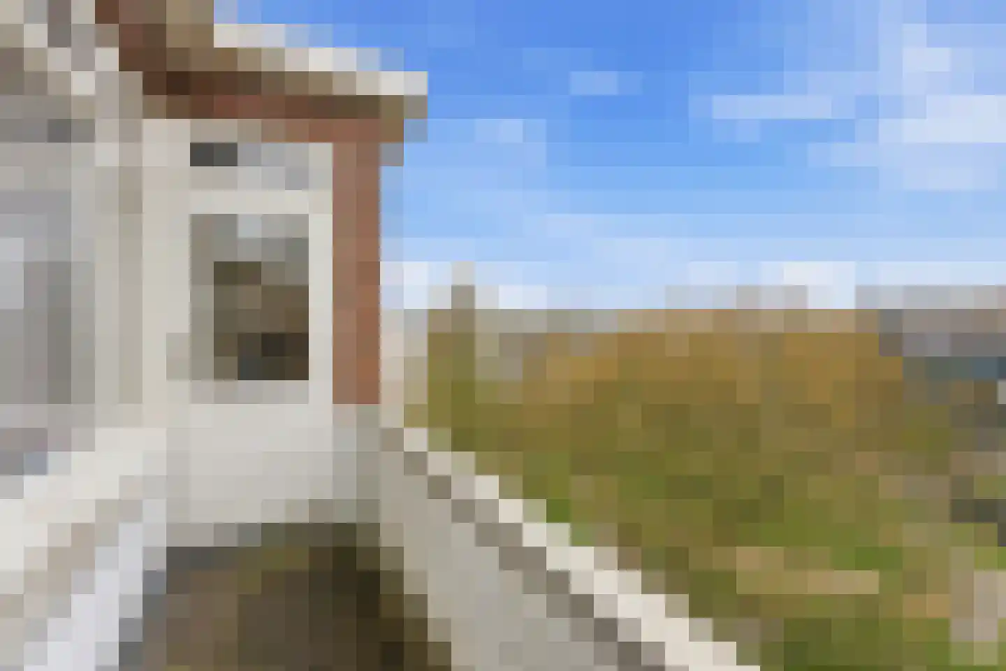 Statenweg 130 D Rotterdam thumbnail 17
