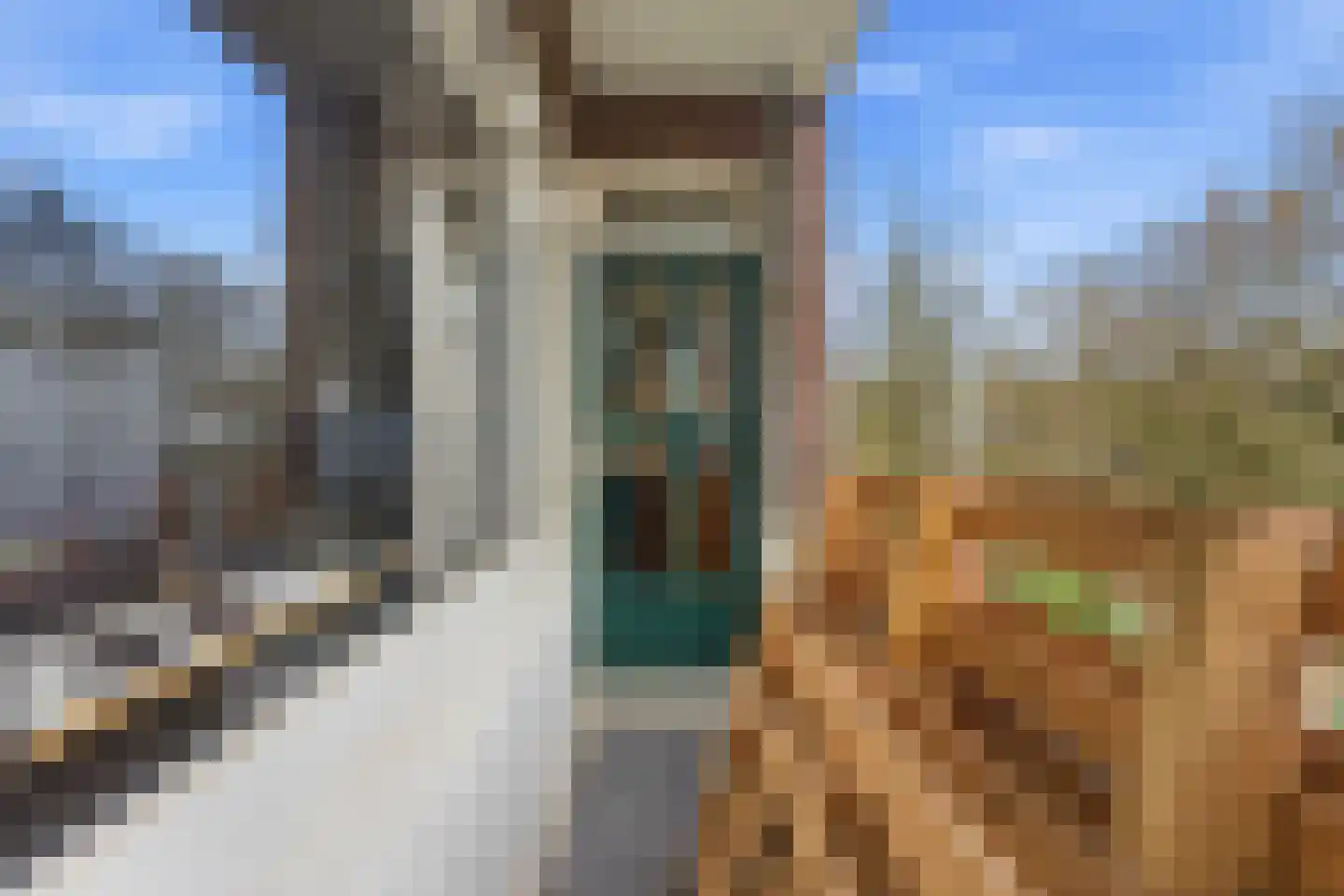 Statenweg 130 D Rotterdam thumbnail 26