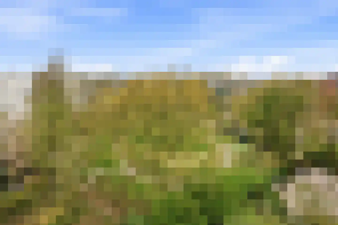 Statenweg 130 D Rotterdam thumbnail 5