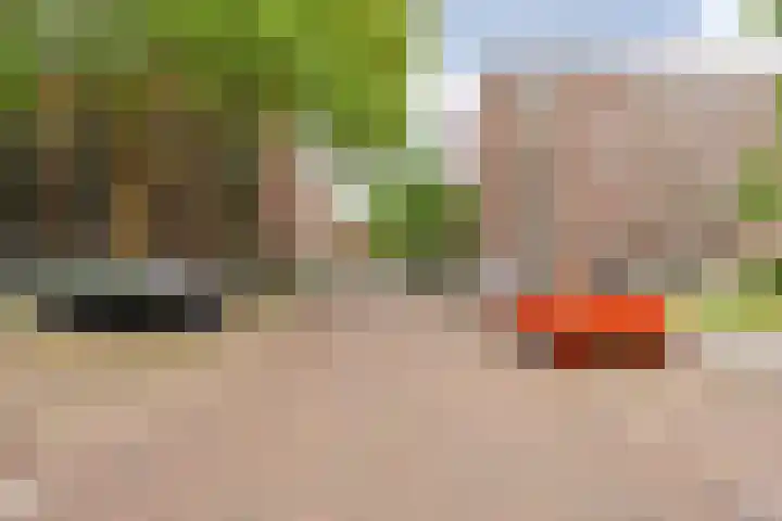 Statenweg 15 D Rotterdam thumbnail 23