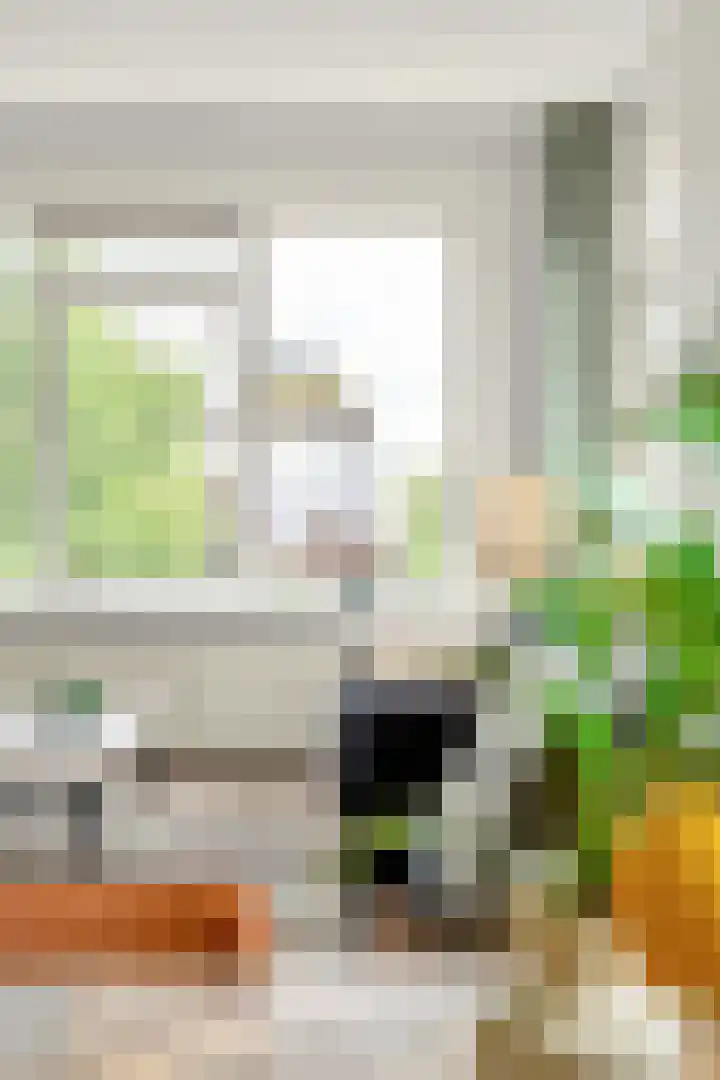 Statenweg 15 D Rotterdam thumbnail 30