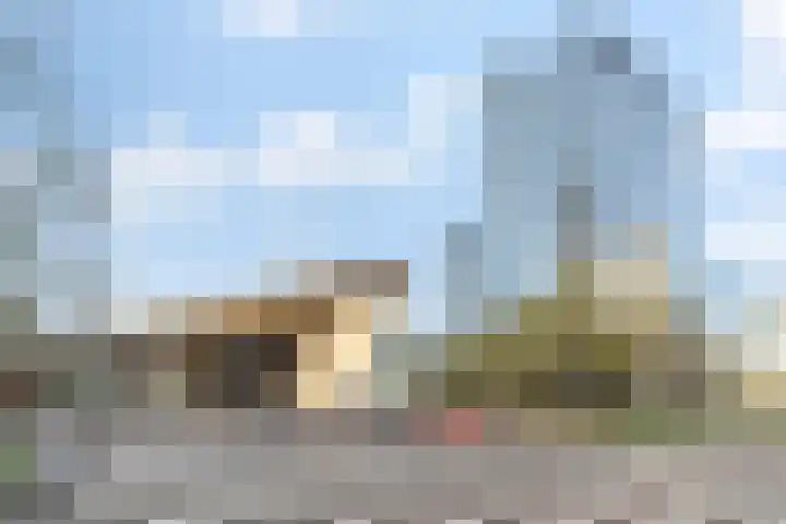 Statenweg 150 C Rotterdam thumbnail 32