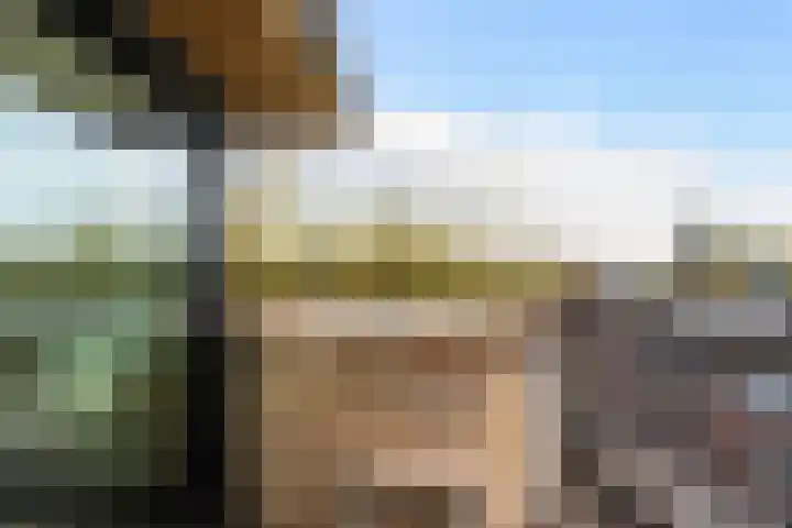 Statenweg 16 D Rotterdam thumbnail 33