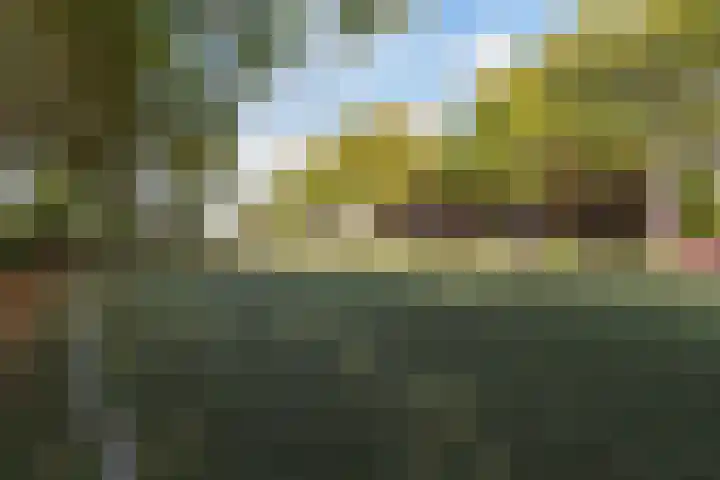 Statenweg 16 D Rotterdam thumbnail 35