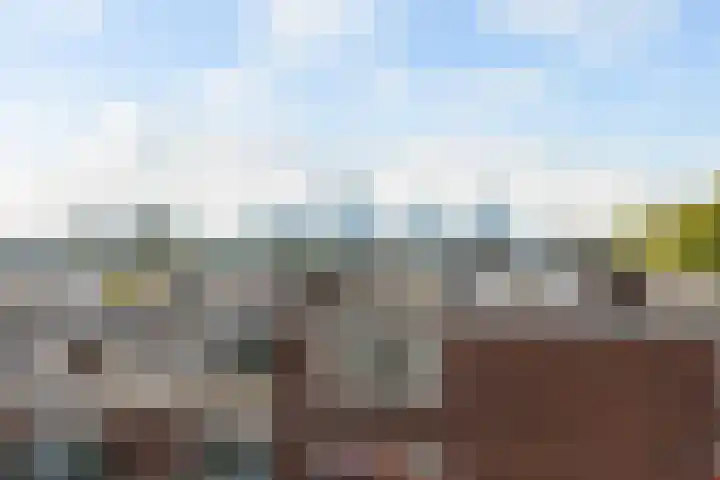 Statenweg 16 D Rotterdam thumbnail 39