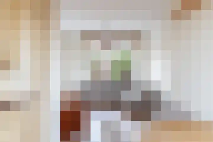 Statenweg 16 D Rotterdam thumbnail 5
