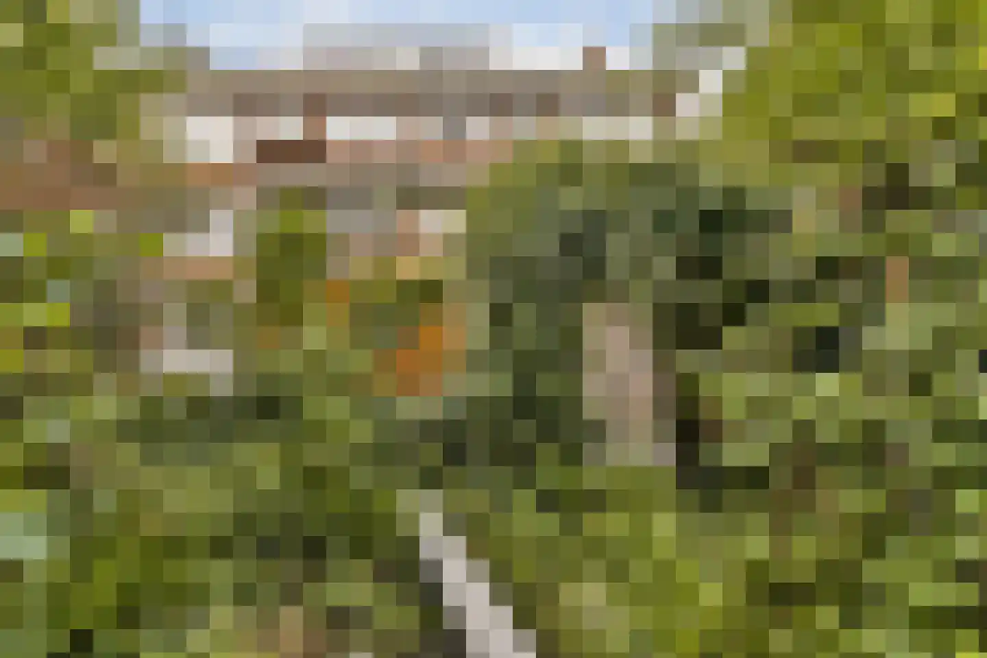 Statenweg 167 A Rotterdam thumbnail 15