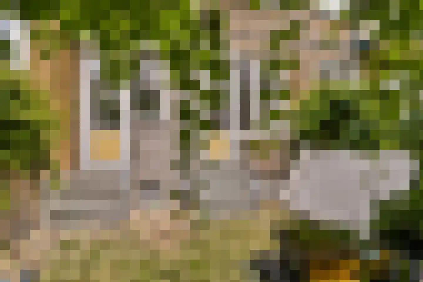 Statenweg 167 A Rotterdam thumbnail 16