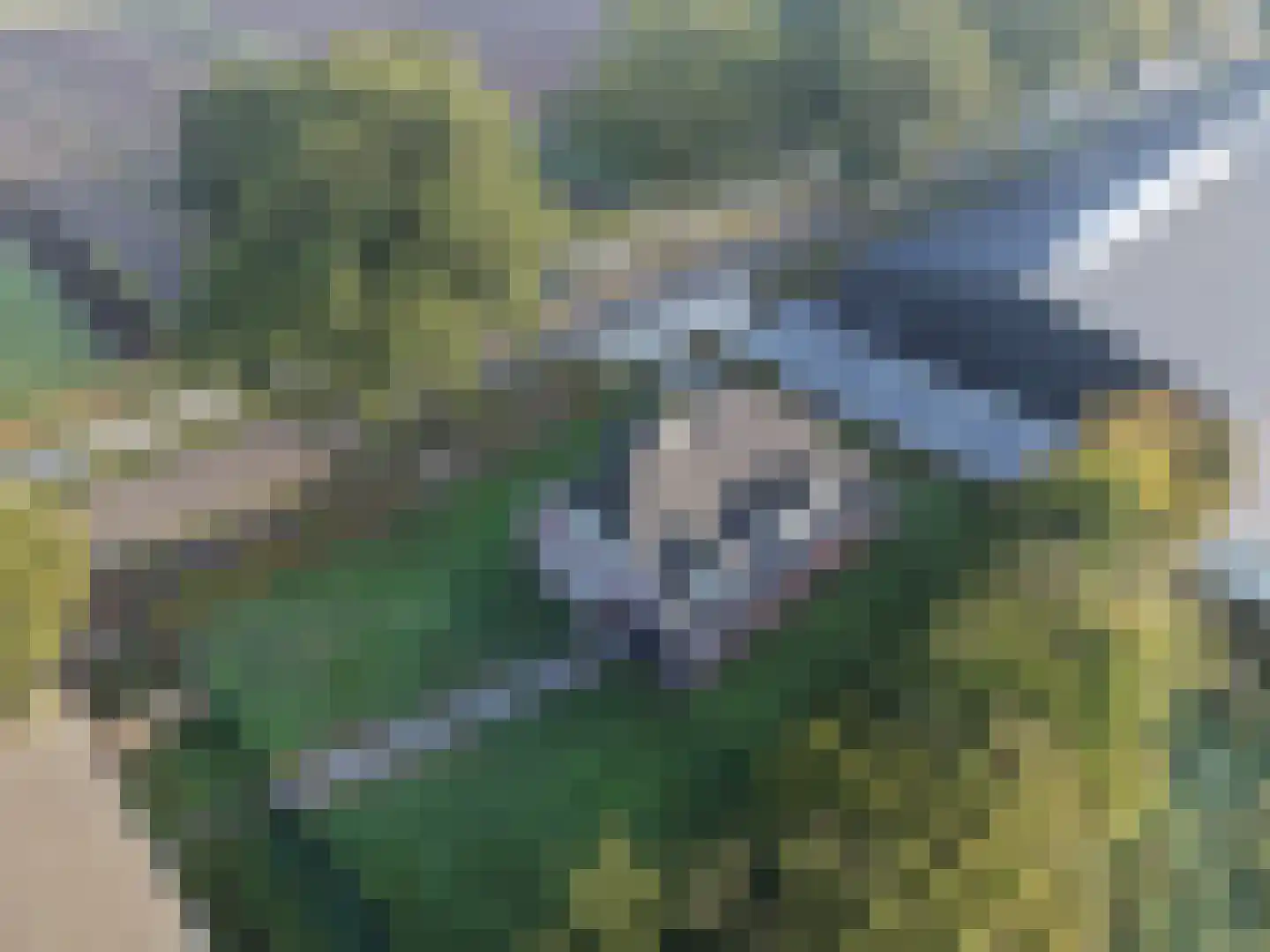 Statenweg 22 Venhorst thumbnail 10