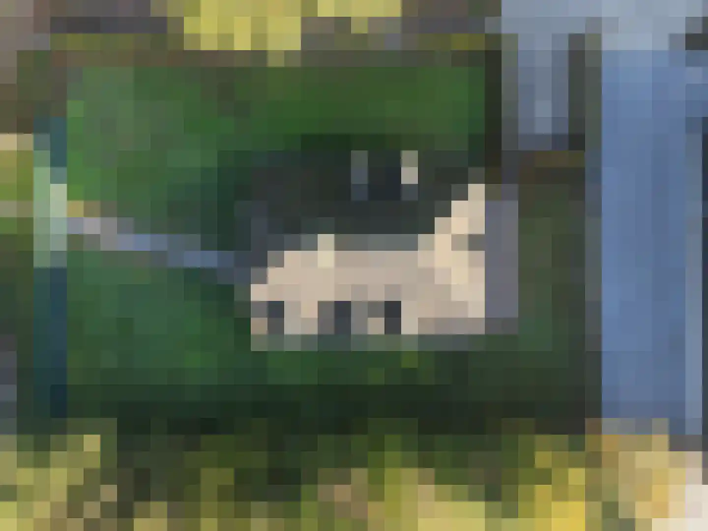 Statenweg 22 Venhorst thumbnail 5