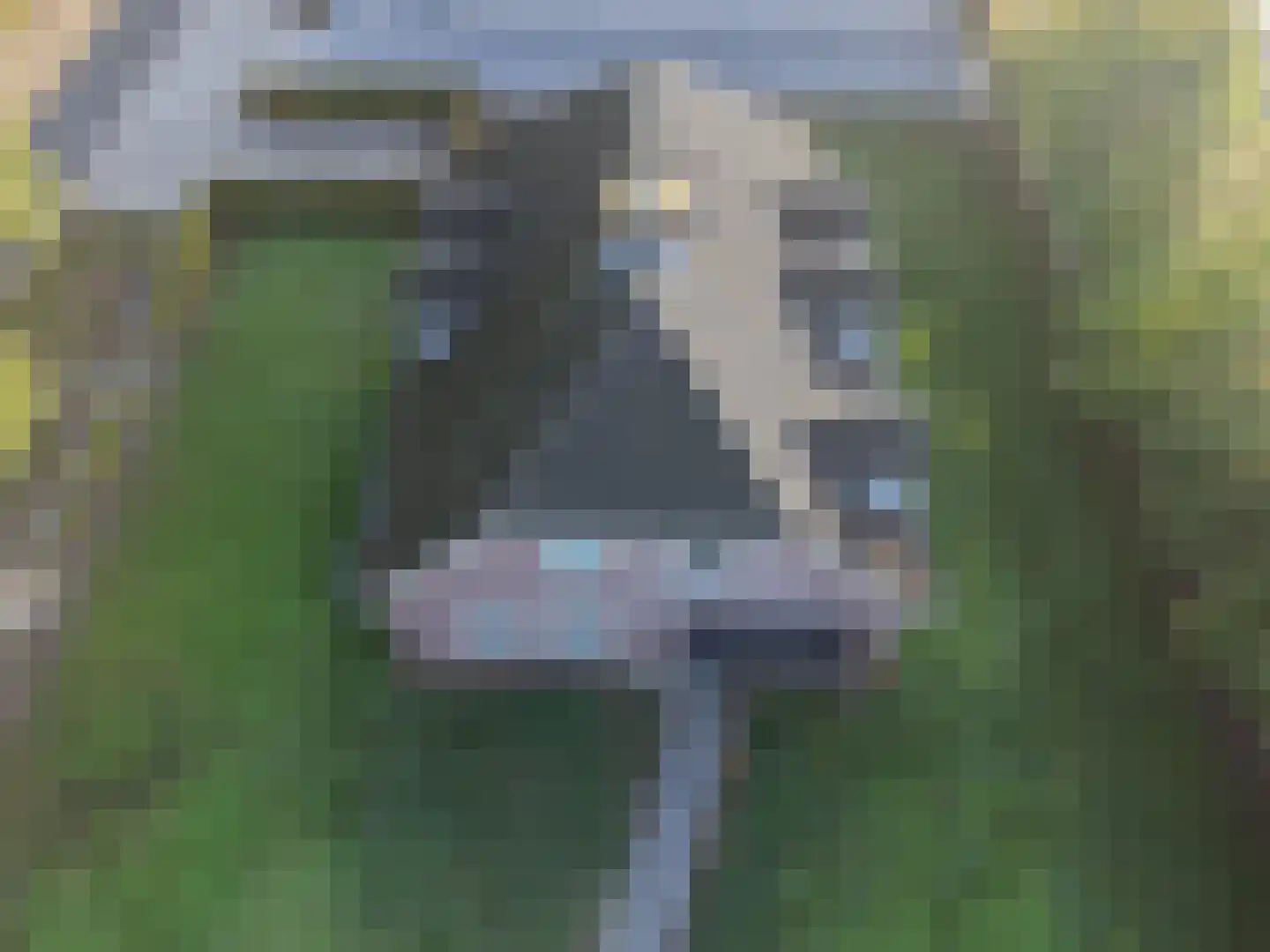 Statenweg 22 Venhorst thumbnail 7