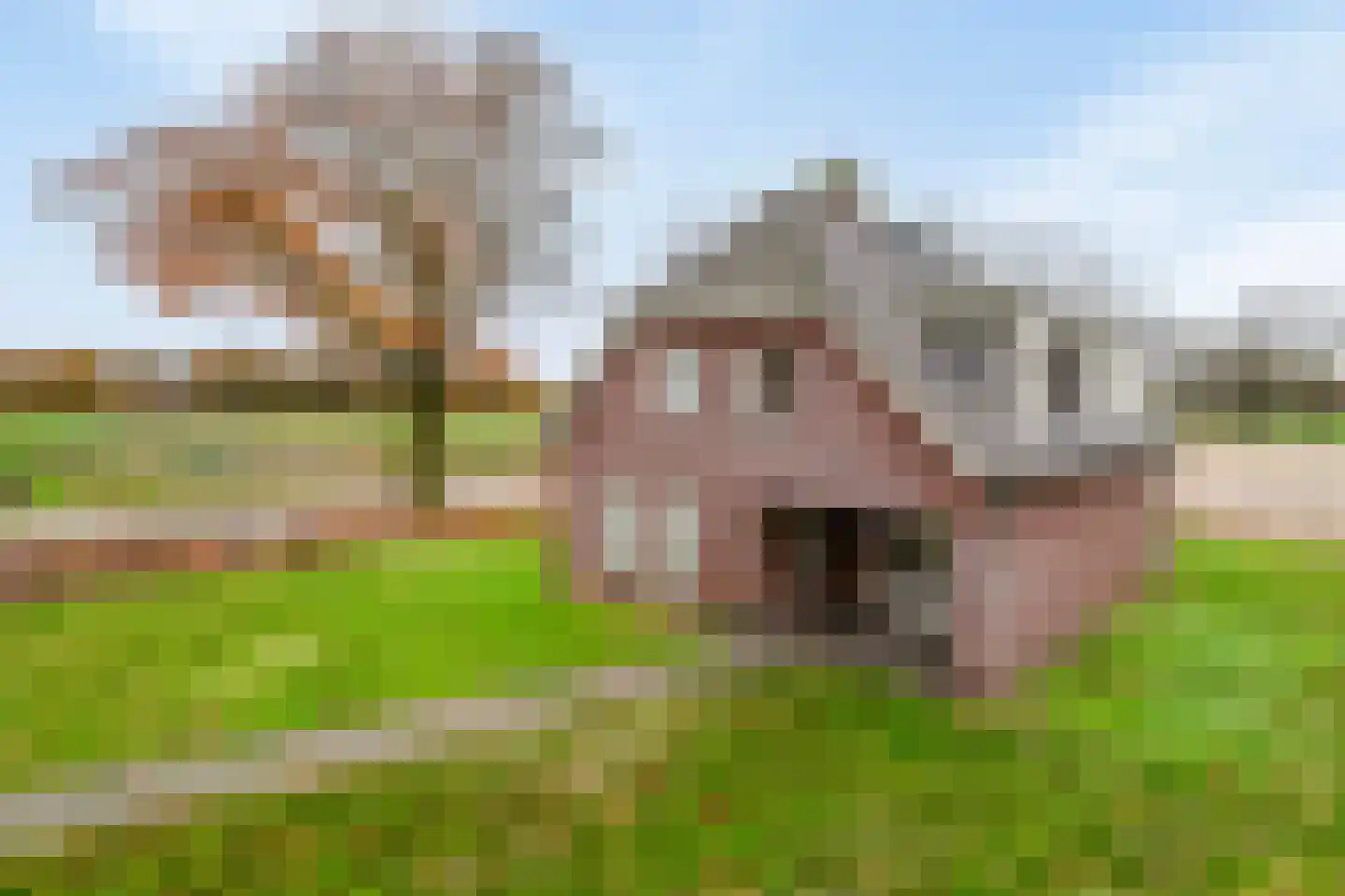 Statenweg 22 Venhorst thumbnail 7