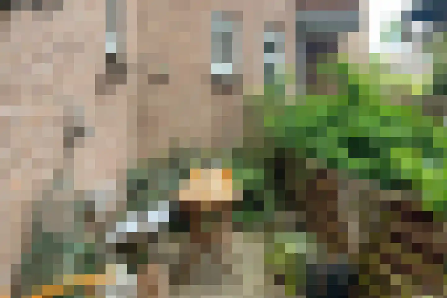 Statenweg 32 A Rotterdam thumbnail 29