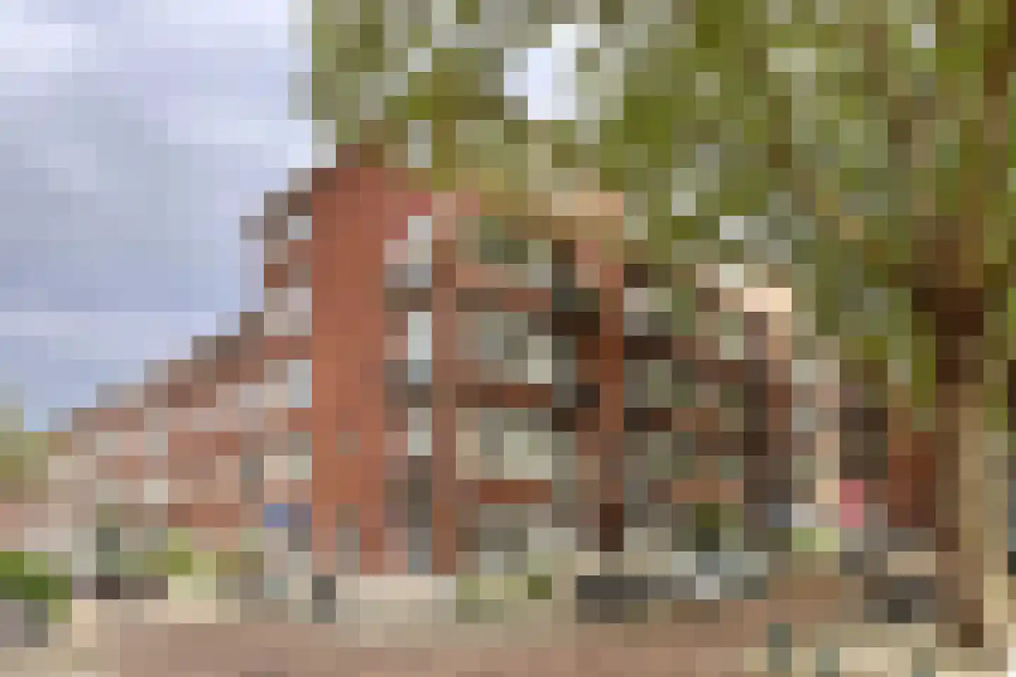 Statenweg 32 A Rotterdam thumbnail 4